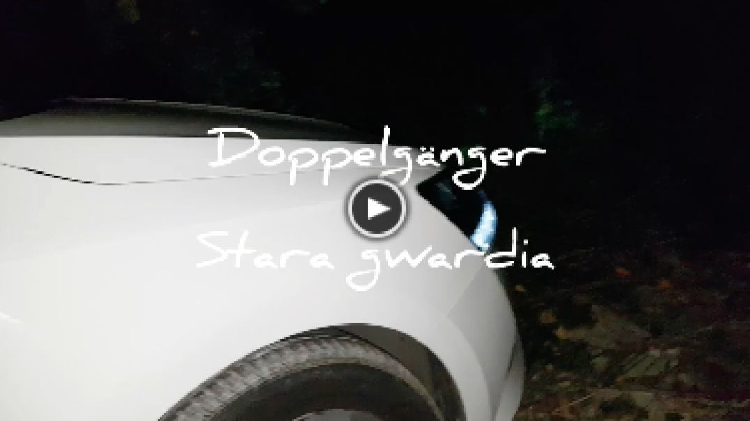⁣Doppelgänger - Stara gwardia (#woodstock)